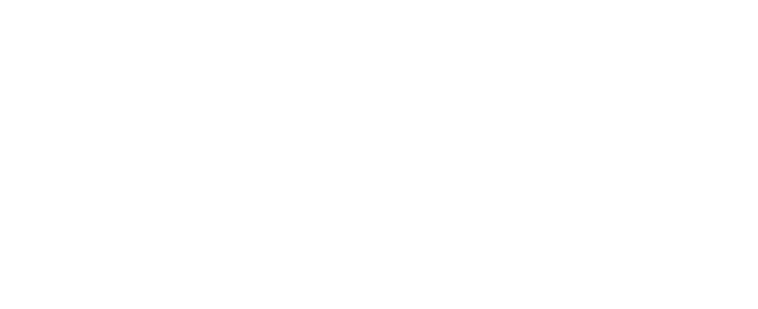 Tindiana Transportes